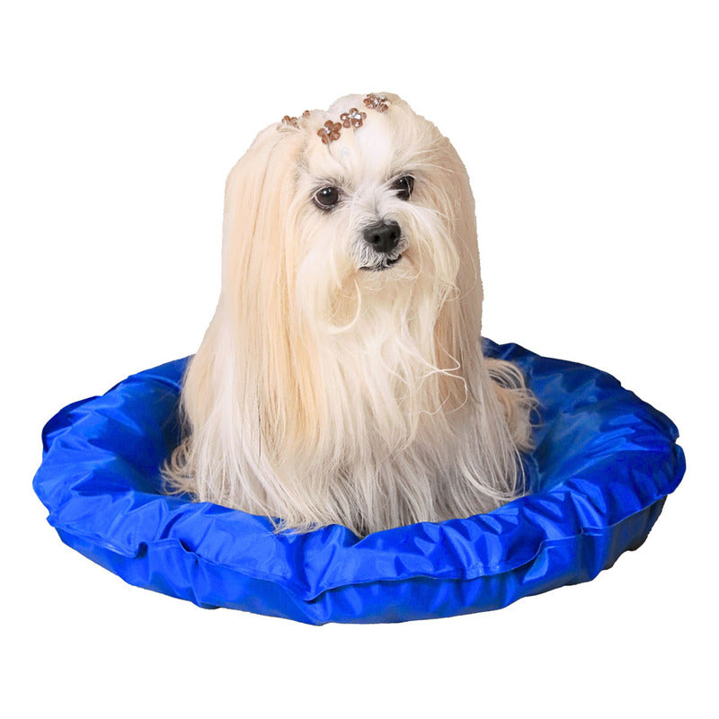 Cama Pet Gelada Beniq Azul Liso Grande Para Gatos E Cães Azul Liso